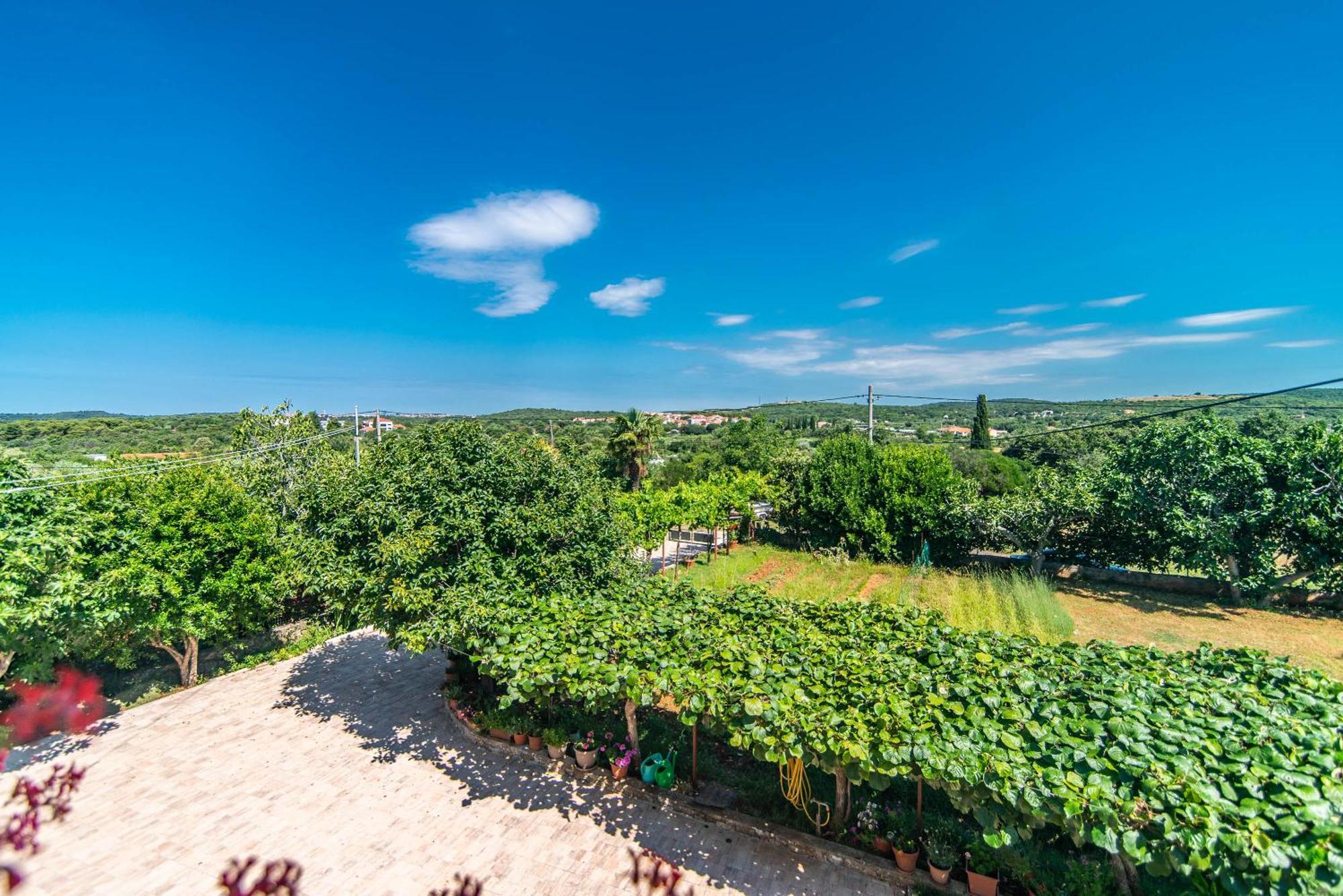 Villa Maria Nives Ровинь Экстерьер фото