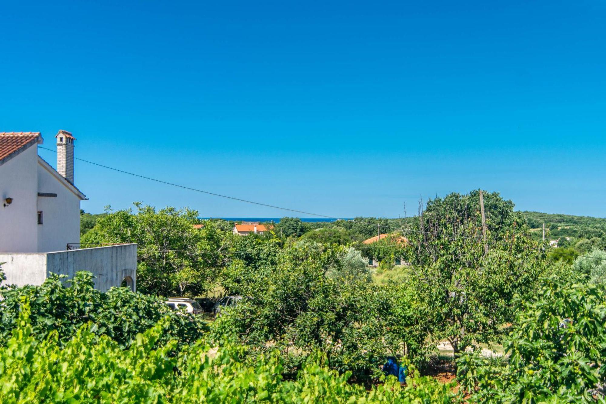 Villa Maria Nives Ровинь Экстерьер фото